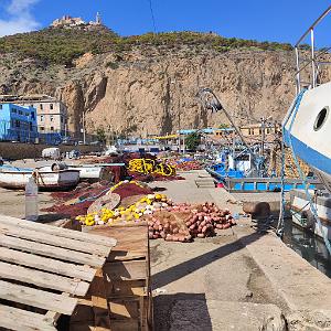VOYAGE 20230926_111913 ORAN PORT DE PECHE (7)